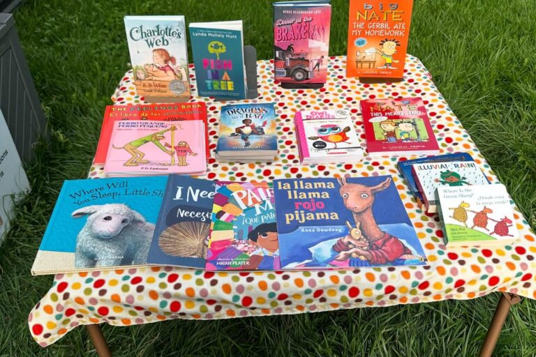 SKLib.Catalyst2024 – Andrea Snyder