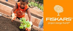 fiskarsprojectorangethumb2016