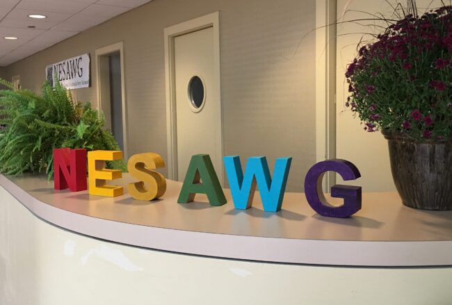 NESAWG.Letters