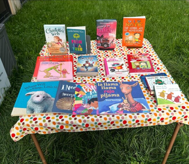 SKLib.Catalyst2024 – Andrea Snyder