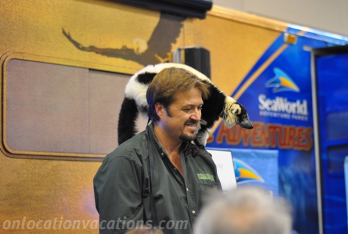 seaworld-animal-dispaly